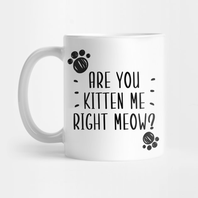 Are You Kitten Me Right Meow by Health